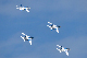 image0221