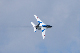 image0249