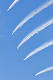 image0287