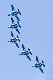 image0349