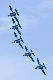 image0350