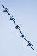 image0353