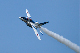 image0390