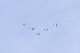 image0415