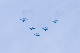 image0417