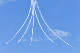 image0445