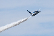 image0494