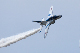 image0496