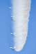 image0540