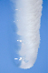 image0541