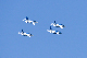 image0588