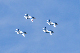 image0591