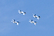 image0592