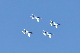 image0596