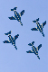 image0629