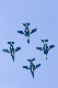 image0630
