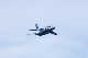 image0739