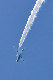 image0826