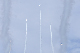 image0874
