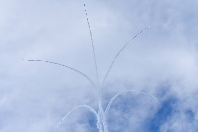 image0220