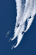 image0135