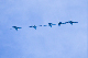 image0191