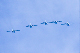 image0192