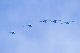 image0193