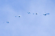 image0194