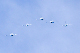 image0195
