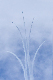 image0210