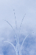 image0212