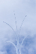 image0213