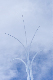 image0215