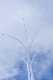 image0216