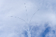 image0219