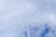 image0220