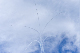 image0223