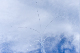 image0225