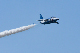 image0236