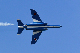 image0249