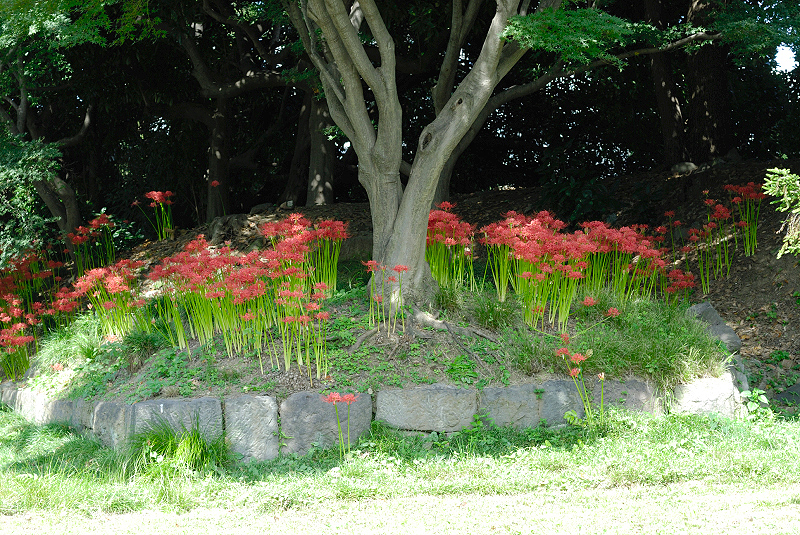 image0099