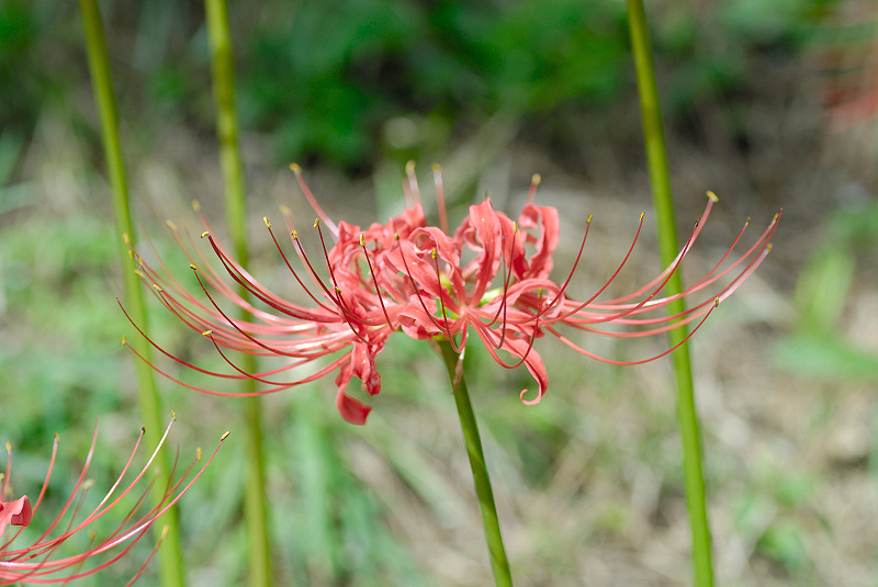 image0104