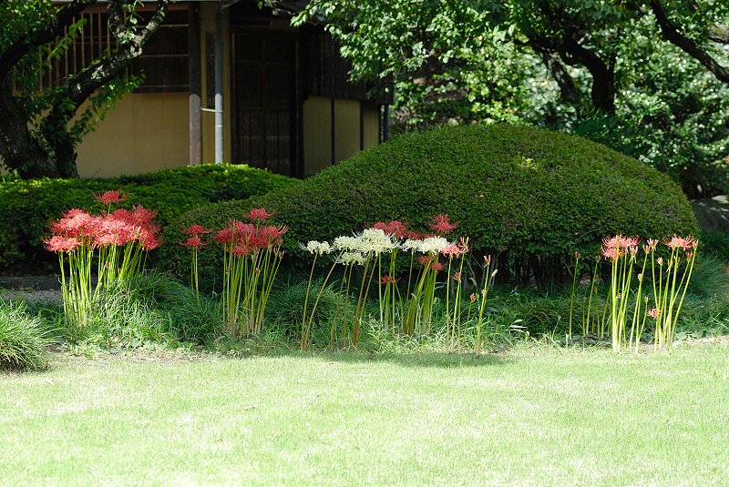 image0121