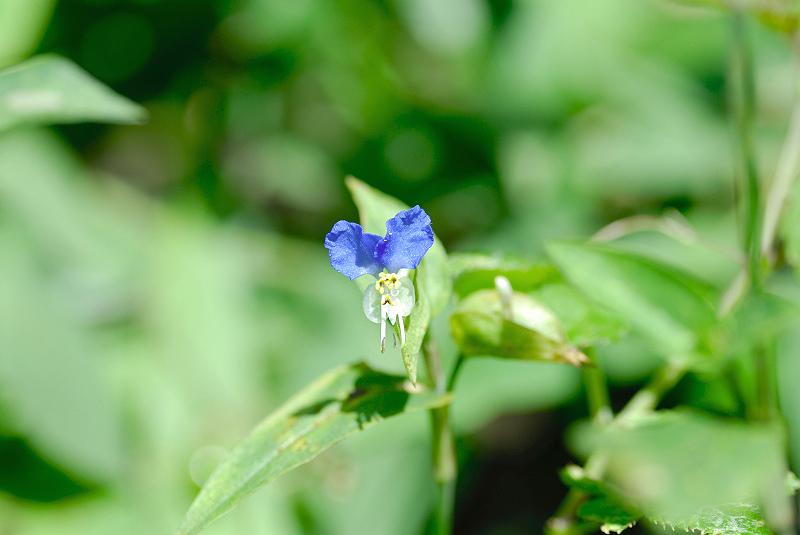image0127
