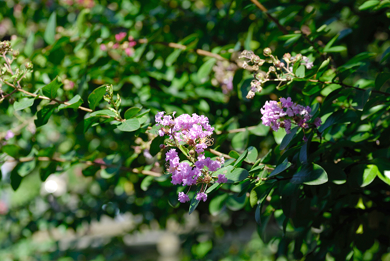 image0138