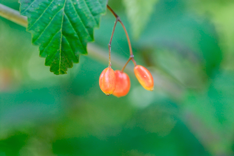 image0150