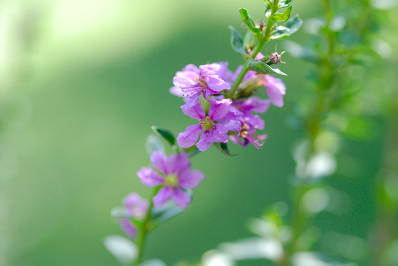 image0152