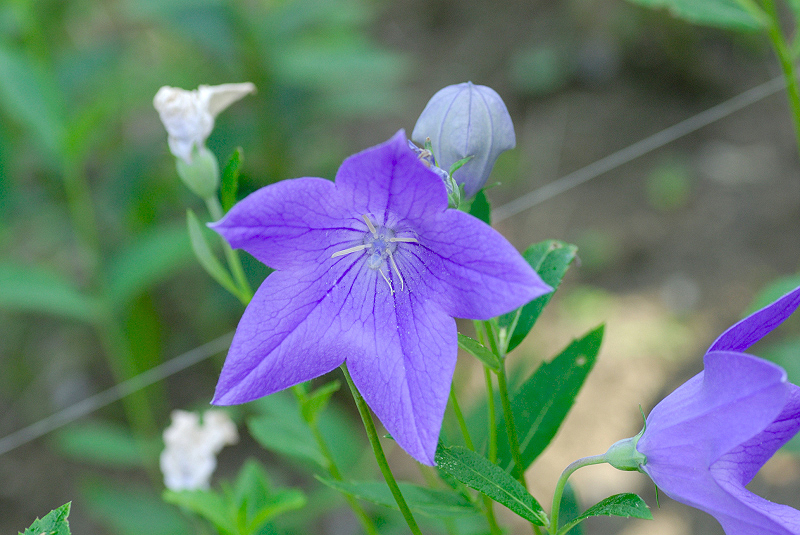 image0158