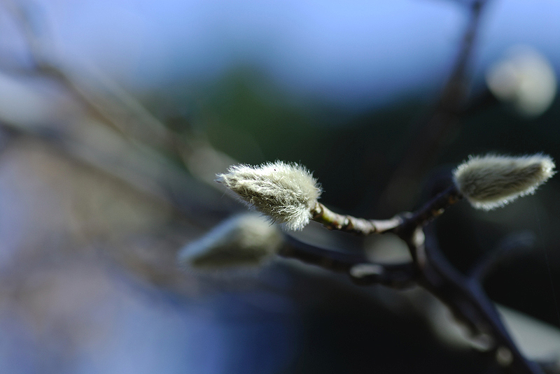 image0104